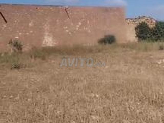 Propriété vente à El Ma, Gharb-Chrarda-Beni Hssen