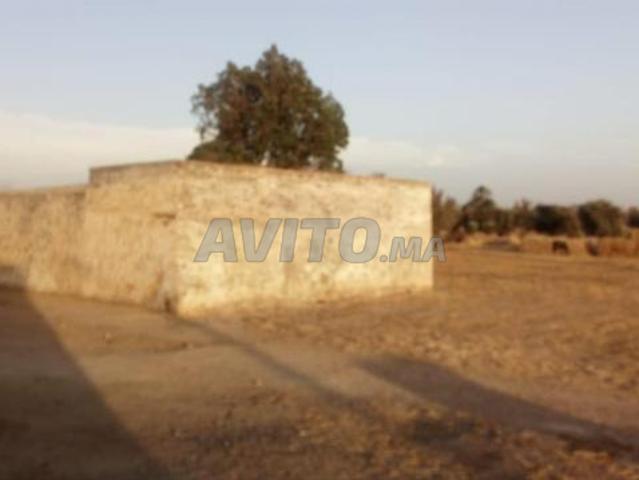 Propriété vente à Berrechid, Gharb-Chrarda-Beni Hssen