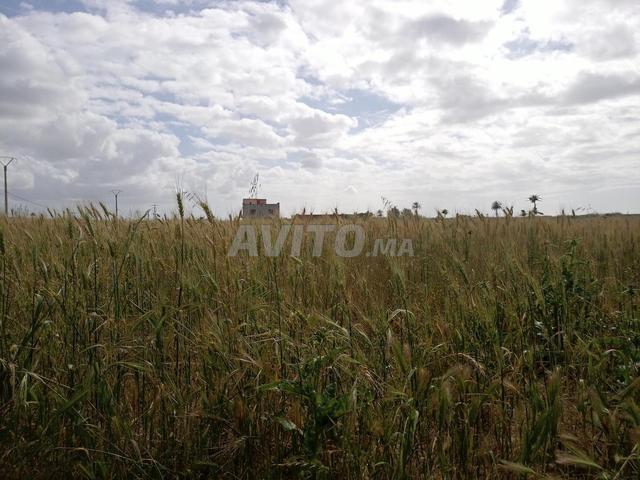 Propriété vente à El Ma, Gharb-Chrarda-Beni Hssen