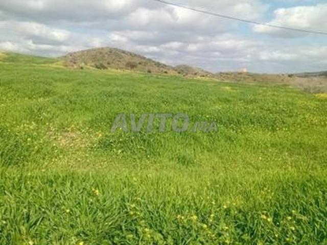 Propriété vente à Khénifra