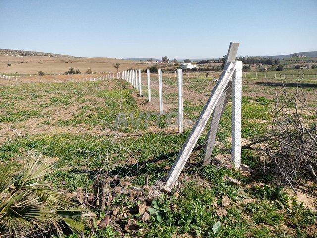 Propriété vente à Slimane, Gharb-Chrarda-Beni Hssen