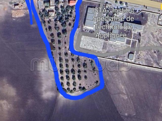 Terrain vente à Karia Ba Mohamed