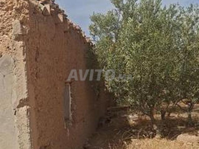 Propriété vente à Préfecture de Marrakech عمالة مراكش, Marrakech-Safi ⵎⵕⵕⴰⴽⵛ-ⴰⵙⴼⵉ مراكش-أسفي