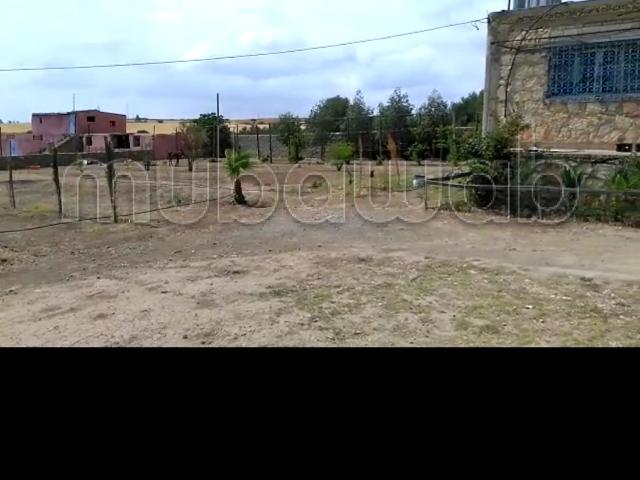 Ferme vente à Oued Zem