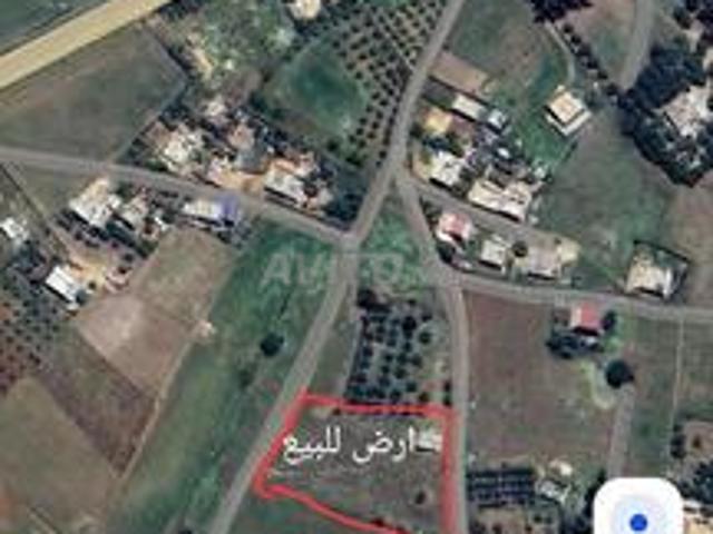 Propriété vente à Khémisset