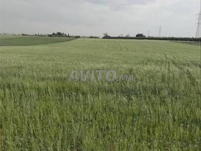 Propriété vente à Slimane, Gharb-Chrarda-Beni Hssen