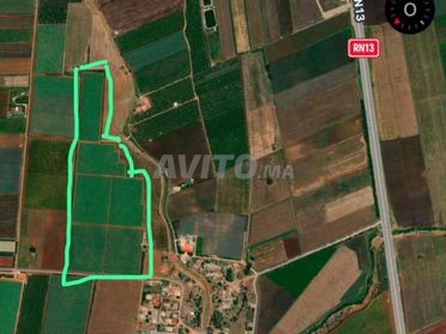 Propriété vente à El Hajeb
