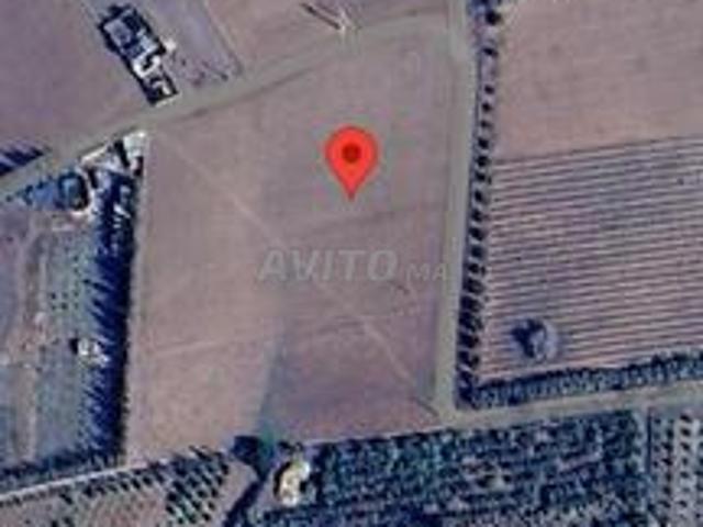 Propriété vente à Sidi Allal El Bahraoui