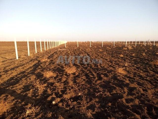 Propriété vente à Slimane, Gharb-Chrarda-Beni Hssen
