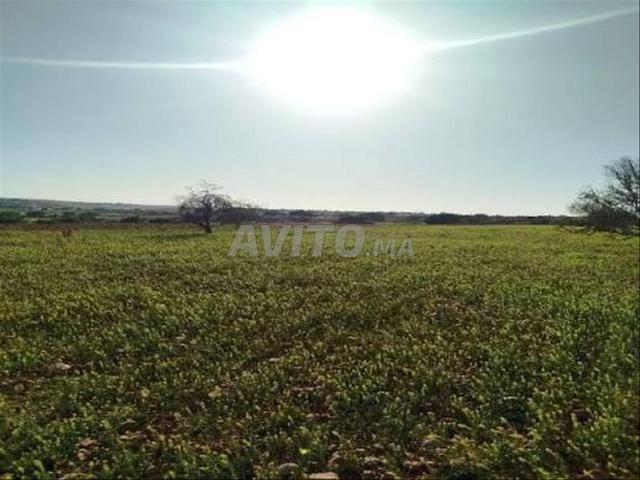 Propriété vente à Guelmim