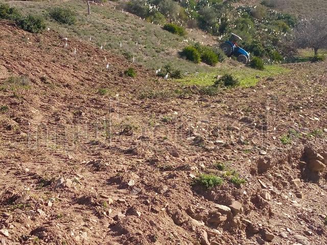 Terrain vente à Chauen, Tanger-Tétouan