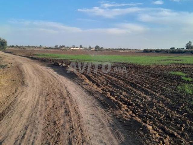 Propriété vente à Berrechid, Gharb-Chrarda-Beni Hssen