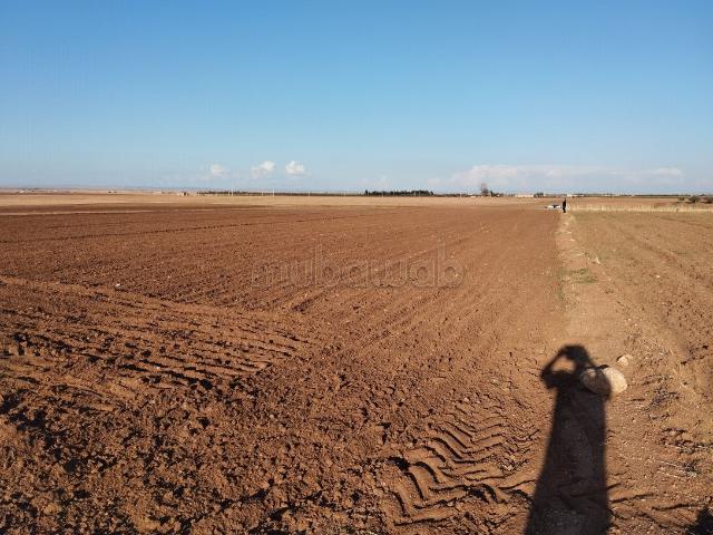 Terrain vente à Kasba Tadla