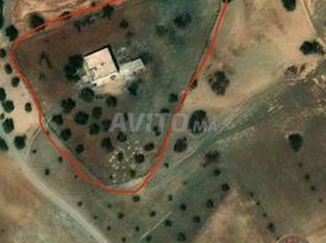Propriété vente à Oued Amlil