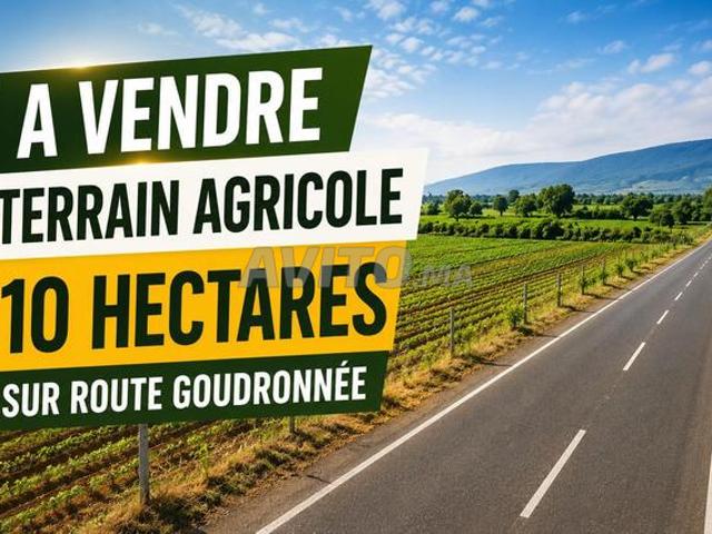 Propriété vente à Tiznit, Oued ed Dahab-Lagouira