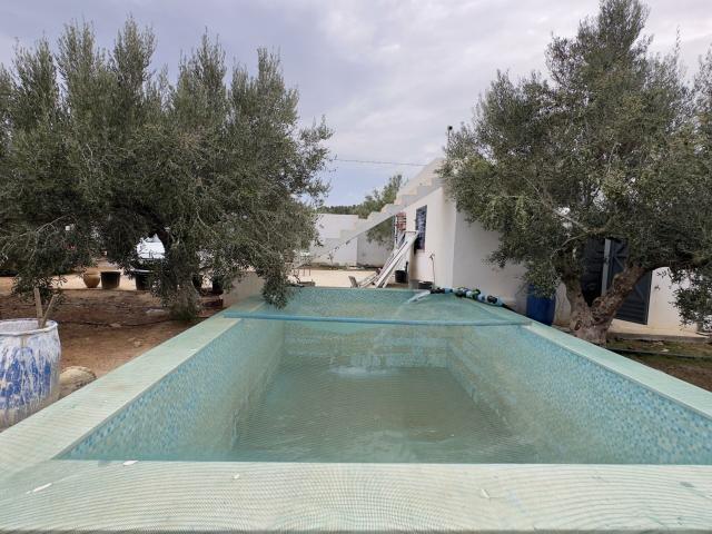 Terrain vente à Nabeul, Beni Khalled