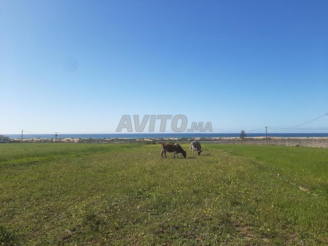 Propriété vente à Oualidia, Gharb-Chrarda-Beni Hssen