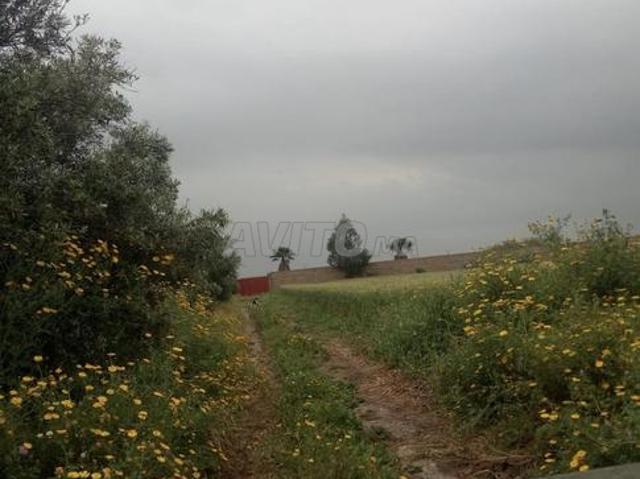 Propriété vente à Nouaceur, Gharb-Chrarda-Beni Hssen