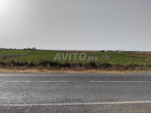 Propriété vente à El Ma, Gharb-Chrarda-Beni Hssen