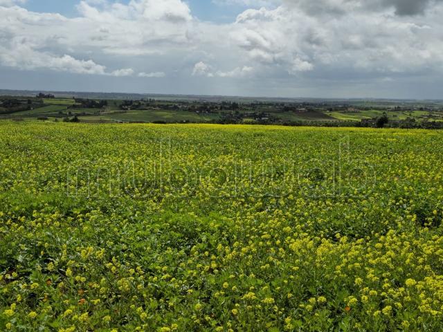 Terrain vente à Ben Slimane, Chaouia-Ouardigha