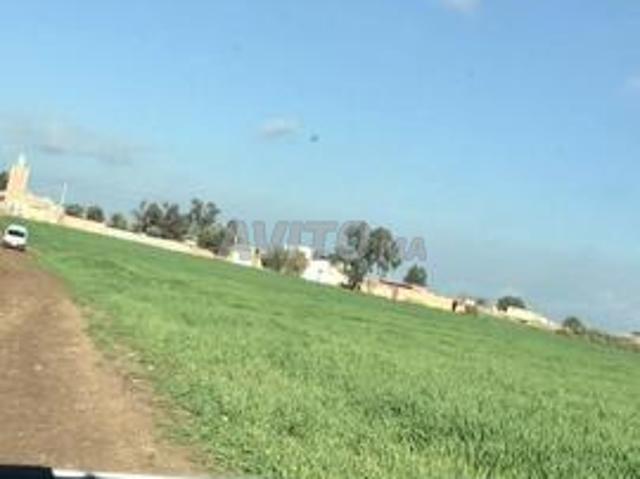 Propriété vente à Settat, Gharb-Chrarda-Beni Hssen