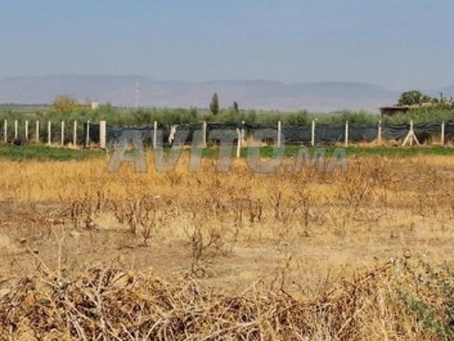 Propriété vente à El Hajeb