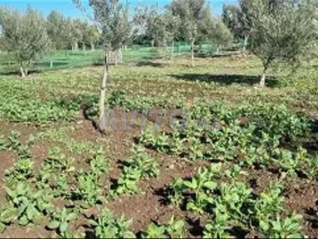Propriété vente à Berrechid, Gharb-Chrarda-Beni Hssen