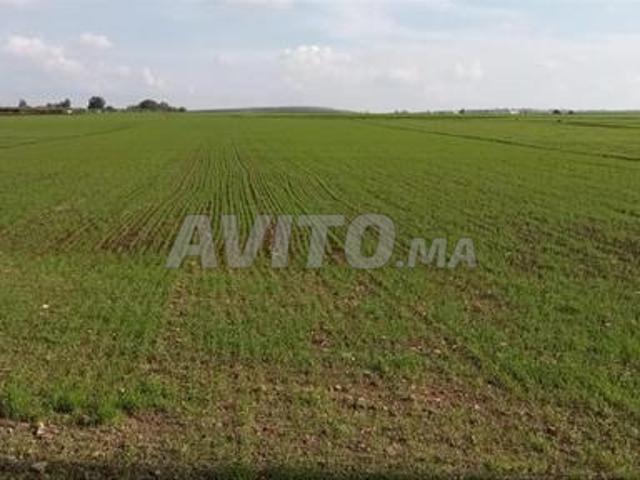 Propriété vente à Berrechid, Gharb-Chrarda-Beni Hssen