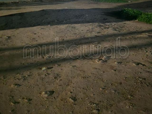 Terrain vente à Sidi Moussa El Majdoub, Gharb-Chrarda-Beni Hssen