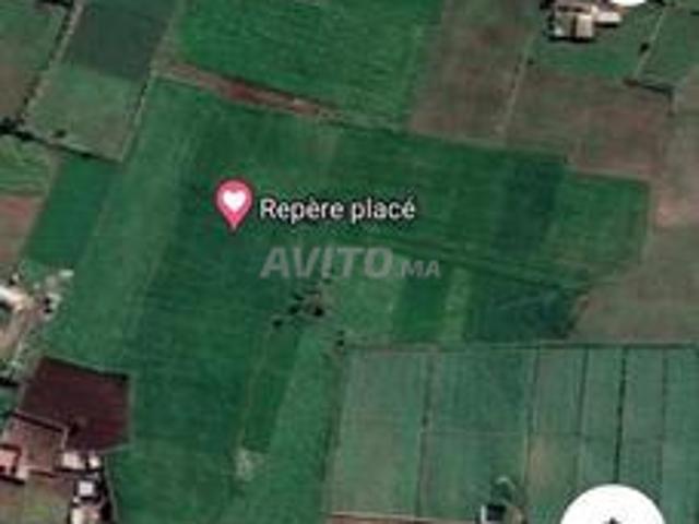 Propriété vente à El Ma, Gharb-Chrarda-Beni Hssen