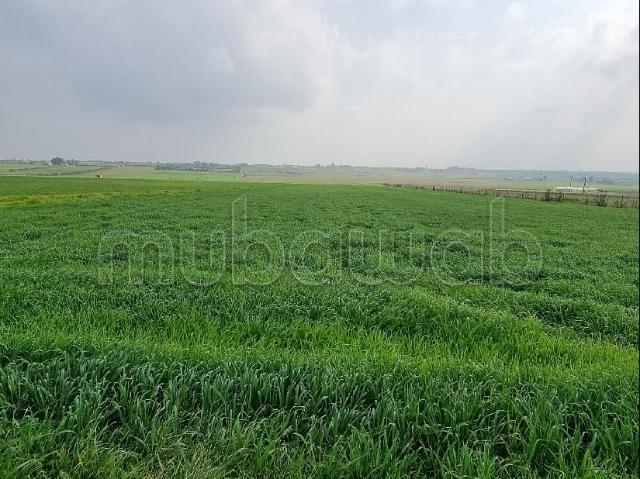 Terrain vente à Mansouria, Gharb-Chrarda-Beni Hssen