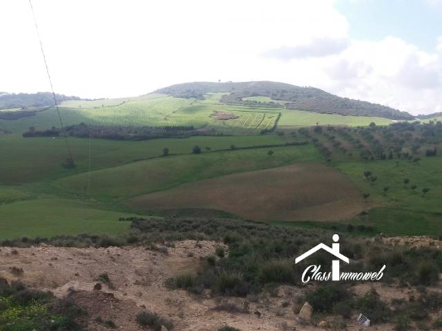 Terrain location