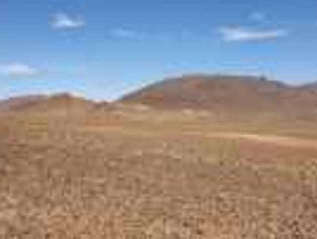 Propriété location à Er Rachidia