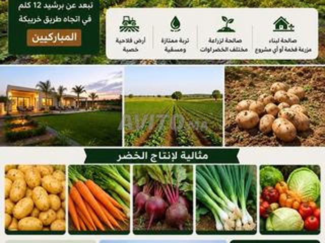 Propriété vente à Berrechid, Gharb-Chrarda-Beni Hssen
