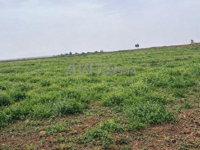 Propriété vente à Berrechid, Gharb-Chrarda-Beni Hssen
