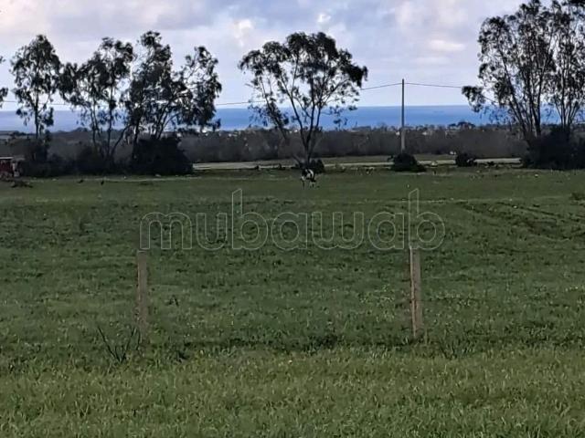 Terrain vente à Had Soualem, Gharb-Chrarda-Beni Hssen