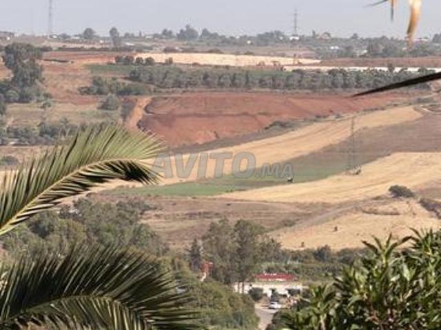 Propriété vente à Chellalate, Gharb-Chrarda-Beni Hssen