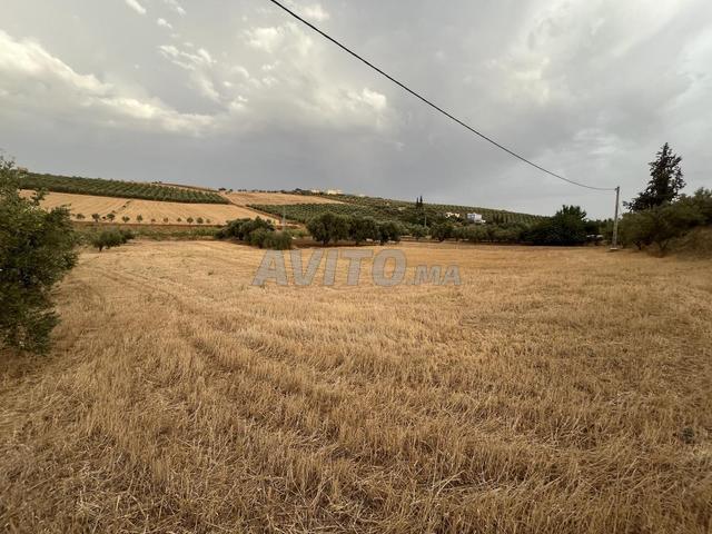Propriété location à Ain Taoujdat