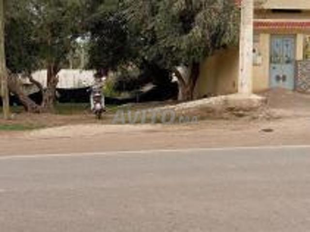 Propriété vente à Mellal