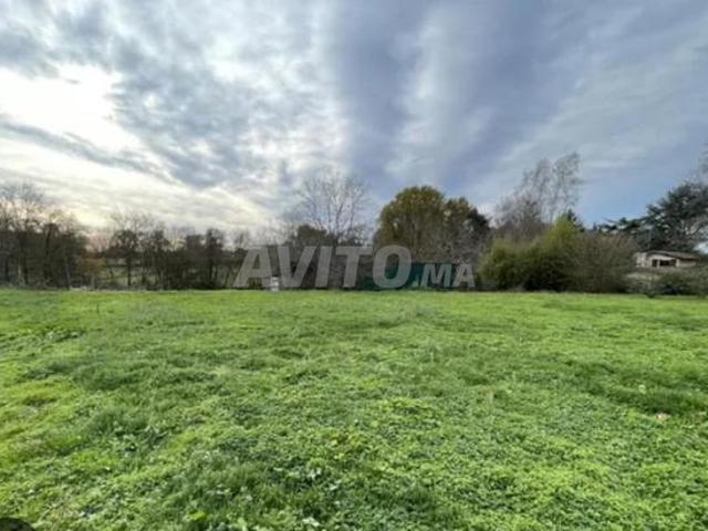 Propriété vente à Ar Rommani