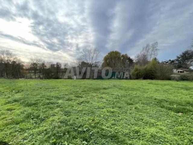 Propriété vente à Ar Rommani