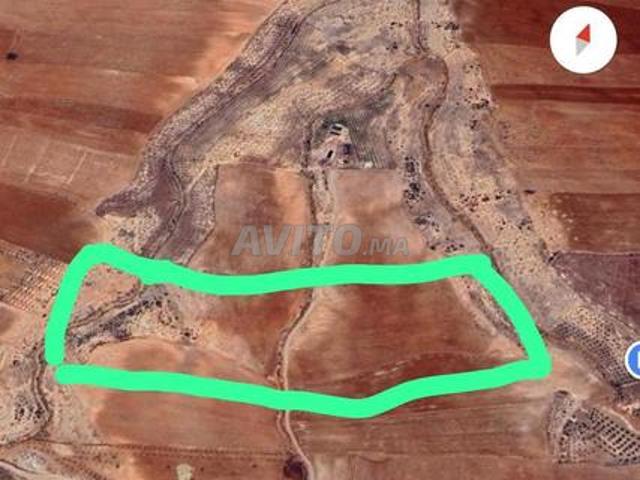 Propriété vente à Nador