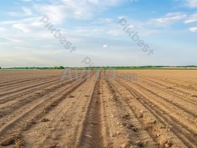 Propriété vente à Sidi Hajjaj, Gharb-Chrarda-Beni Hssen