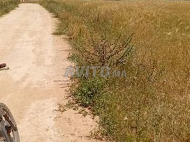 Propriété vente à El Ma, Gharb-Chrarda-Beni Hssen