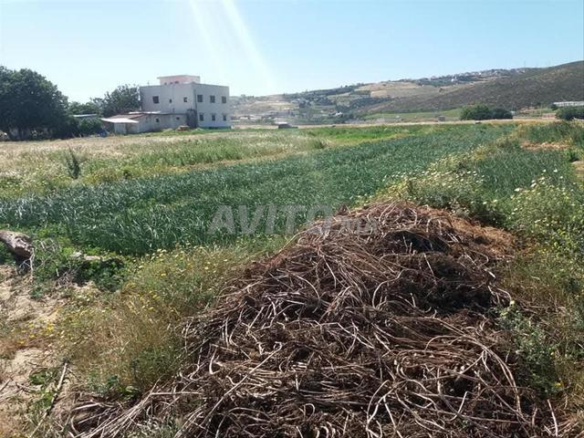 Propriété vente à Tétouan, Tanger-Tétouan