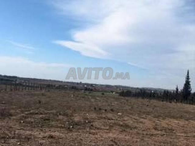 Propriété vente à Gharb-Chrarda-Beni Hssen