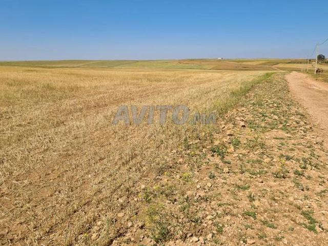 Propriété vente à Settat, Gharb-Chrarda-Beni Hssen