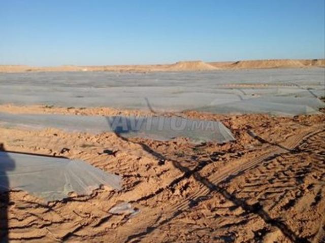 Propriété location à Dakhla, Oued ed Dahab-Lagouira