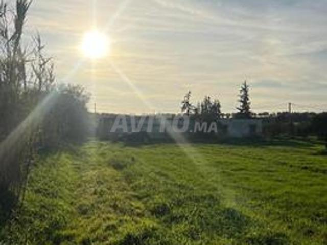 Propriété vente