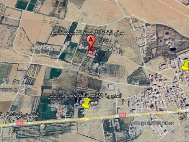 Propriété vente à Driouch